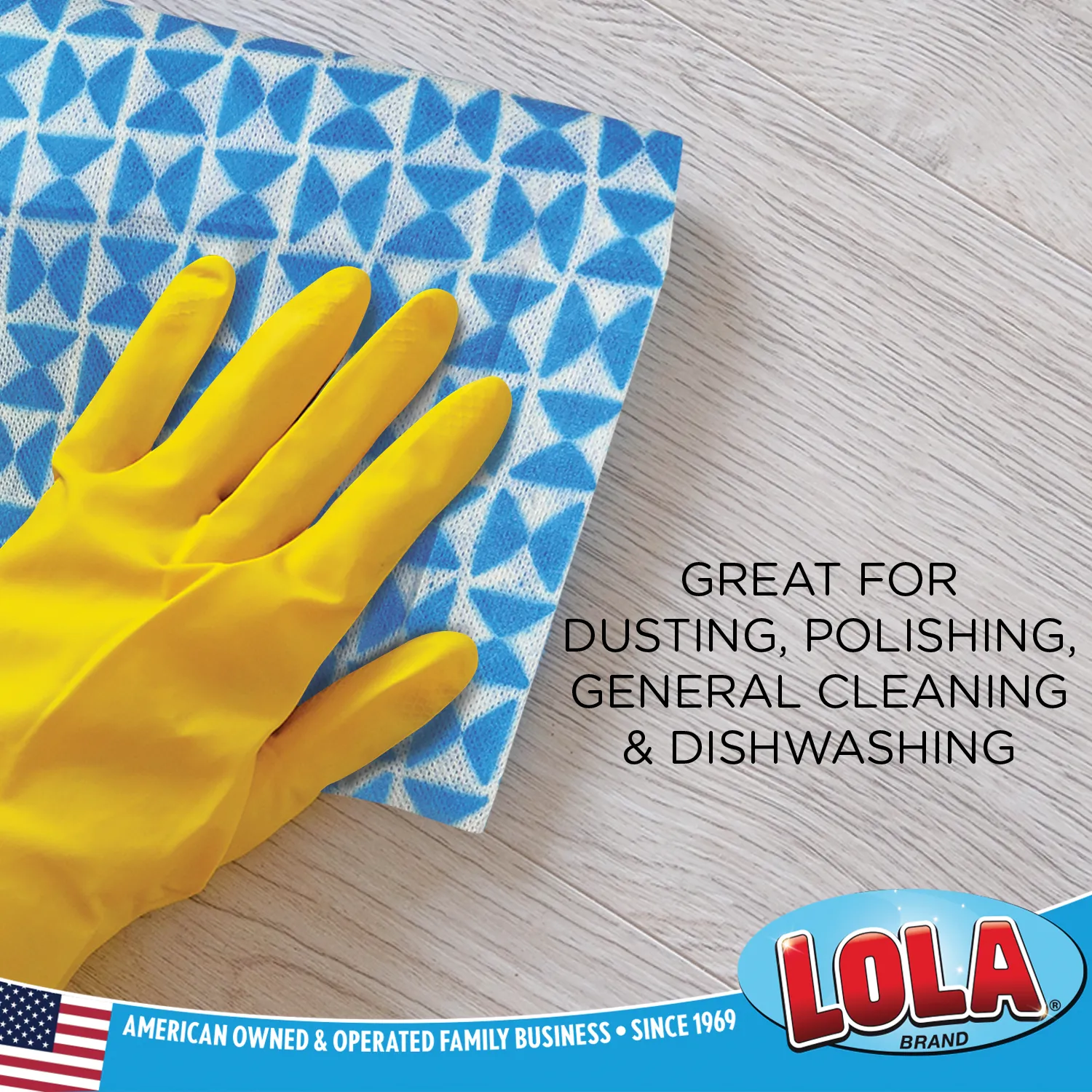 Anti-Microbial Clean n' Wipe Cloths - Comparable to Clorox Handi Wipes - 6 pack