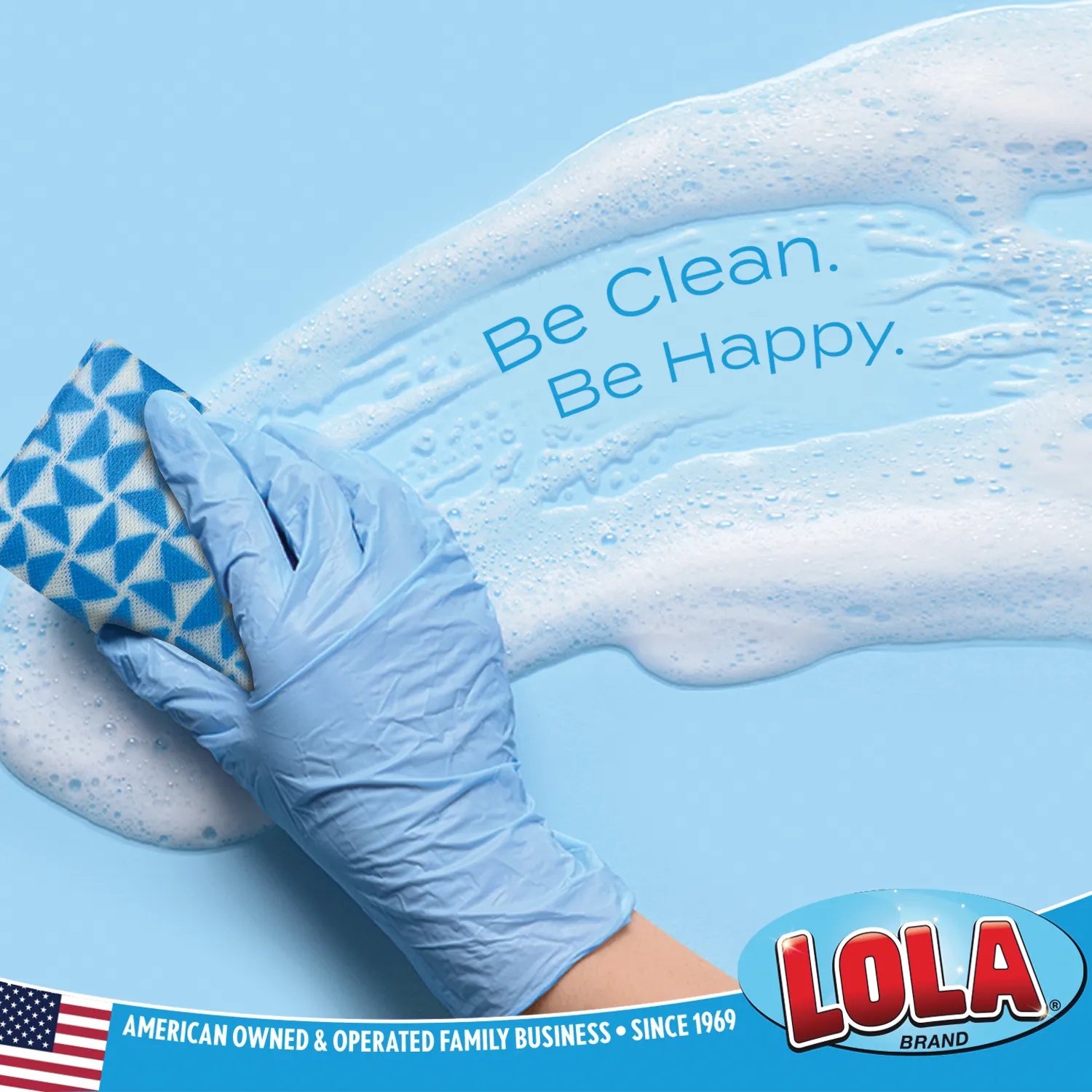 Anti-Microbial Clean n' Wipe Cloths - Comparable to Clorox Handi Wipes - 6 pack