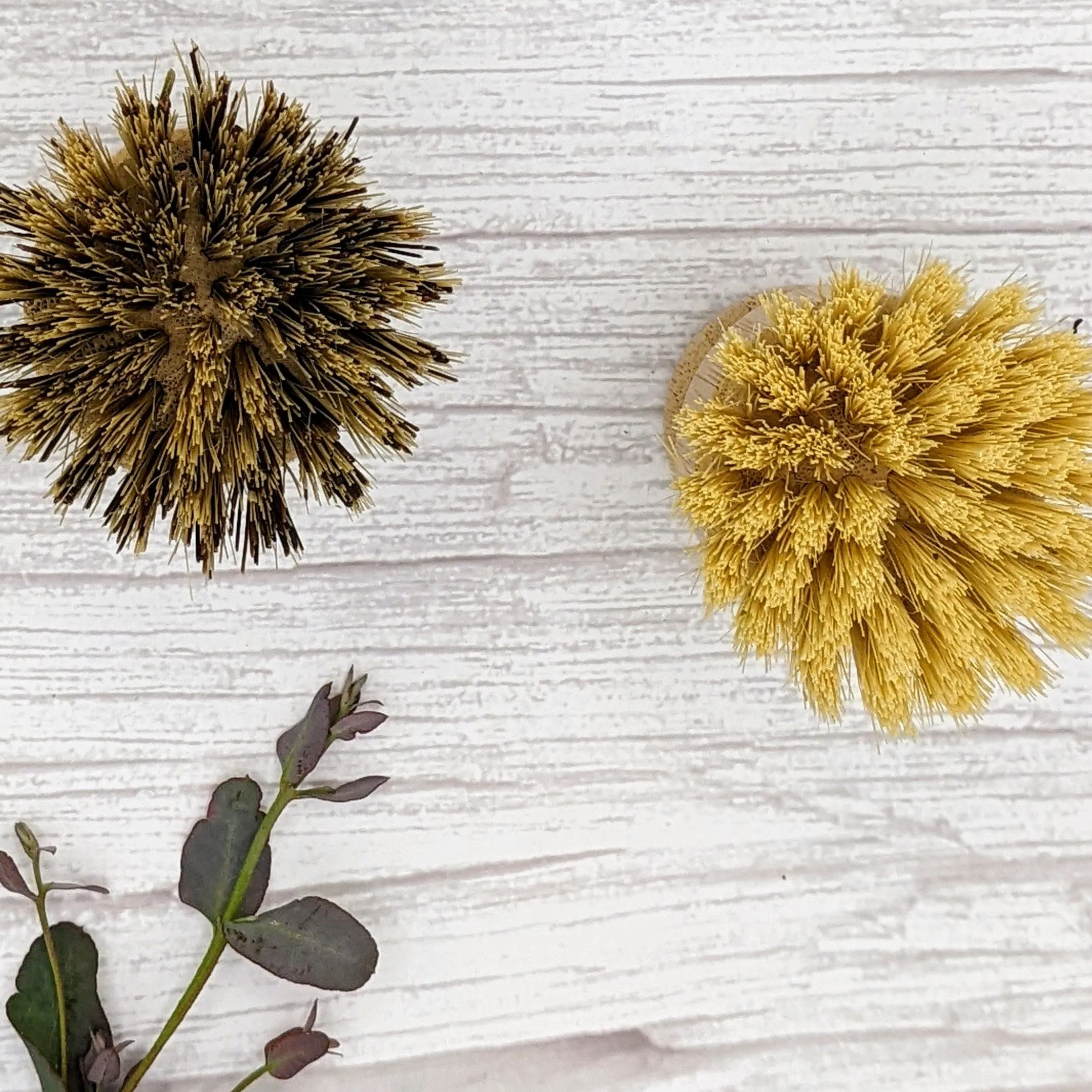 Bamboo & Sisal Scrubbing Brushes