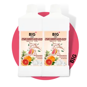 BIG  Natureclean Premium Dish Soap |  2 x 1000ml