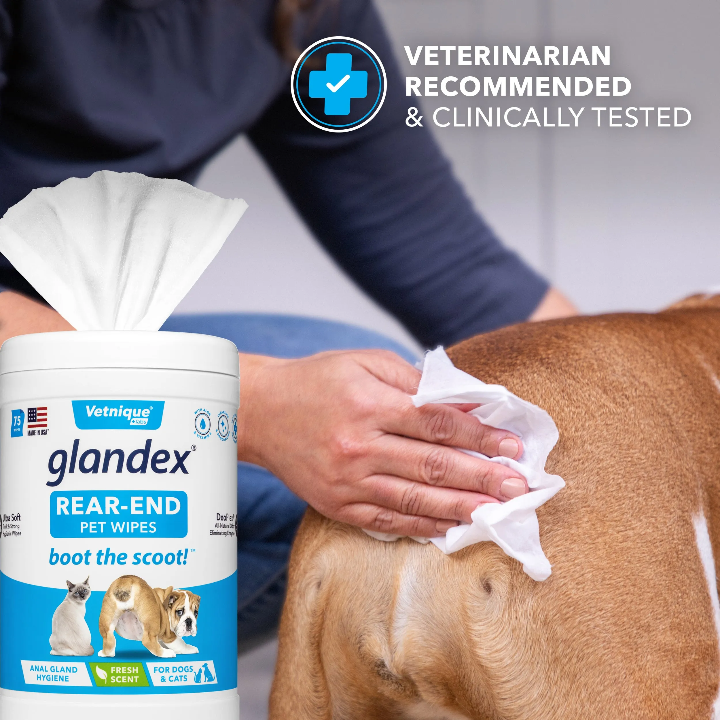 Glandex® Anal Gland Hygienic Pet Wipes - 100 Fresh Scented Wipes