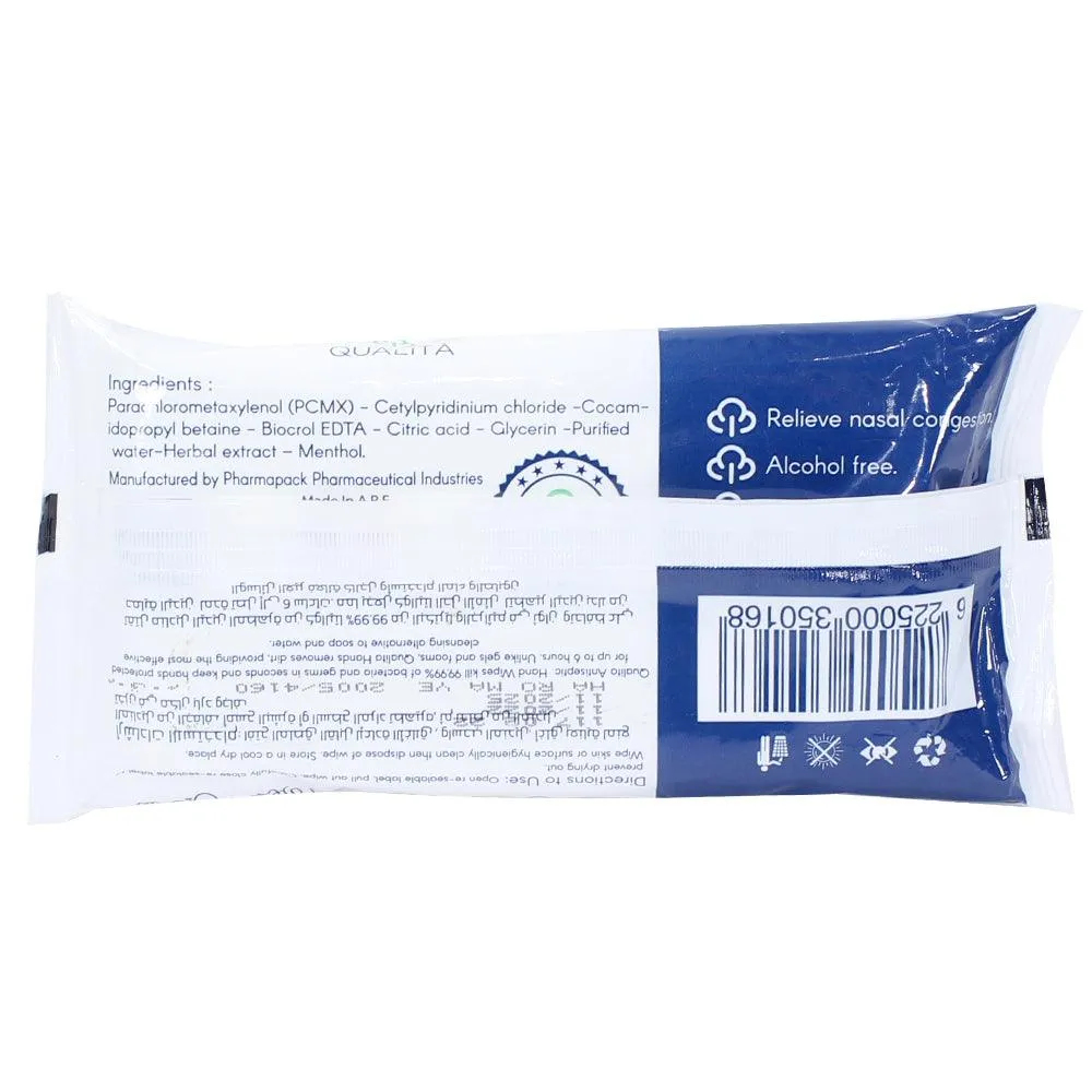 Wet Wipes 40Pcs With Antibacterial Ice Mint smell